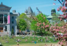 McGill University Scholarhips 2024/2025, Canada